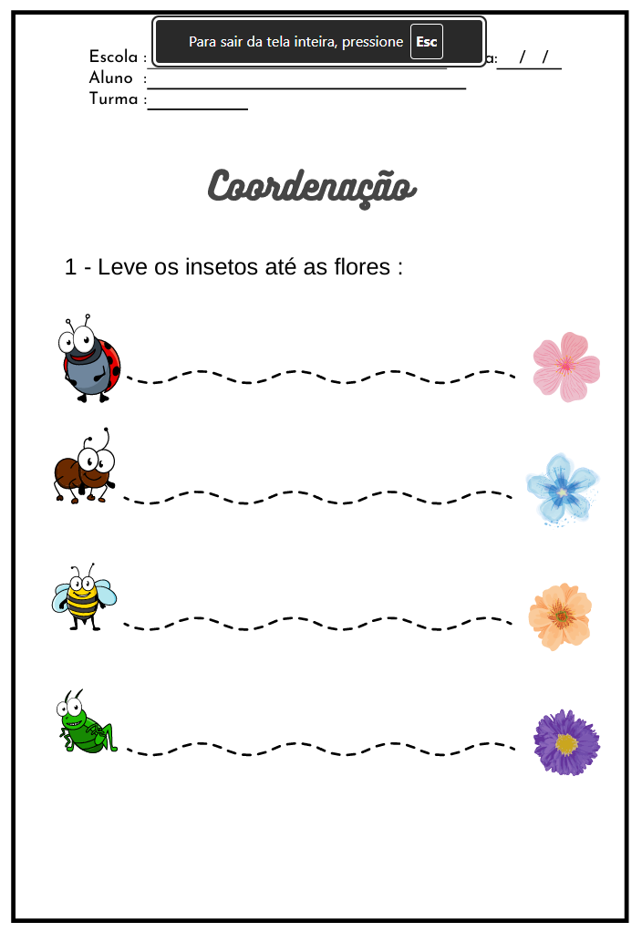 Atividade de Coordenação Motora — Leve os insetos às flores